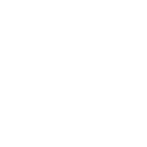 White Fluer de Lis Boy Scouts of America logo